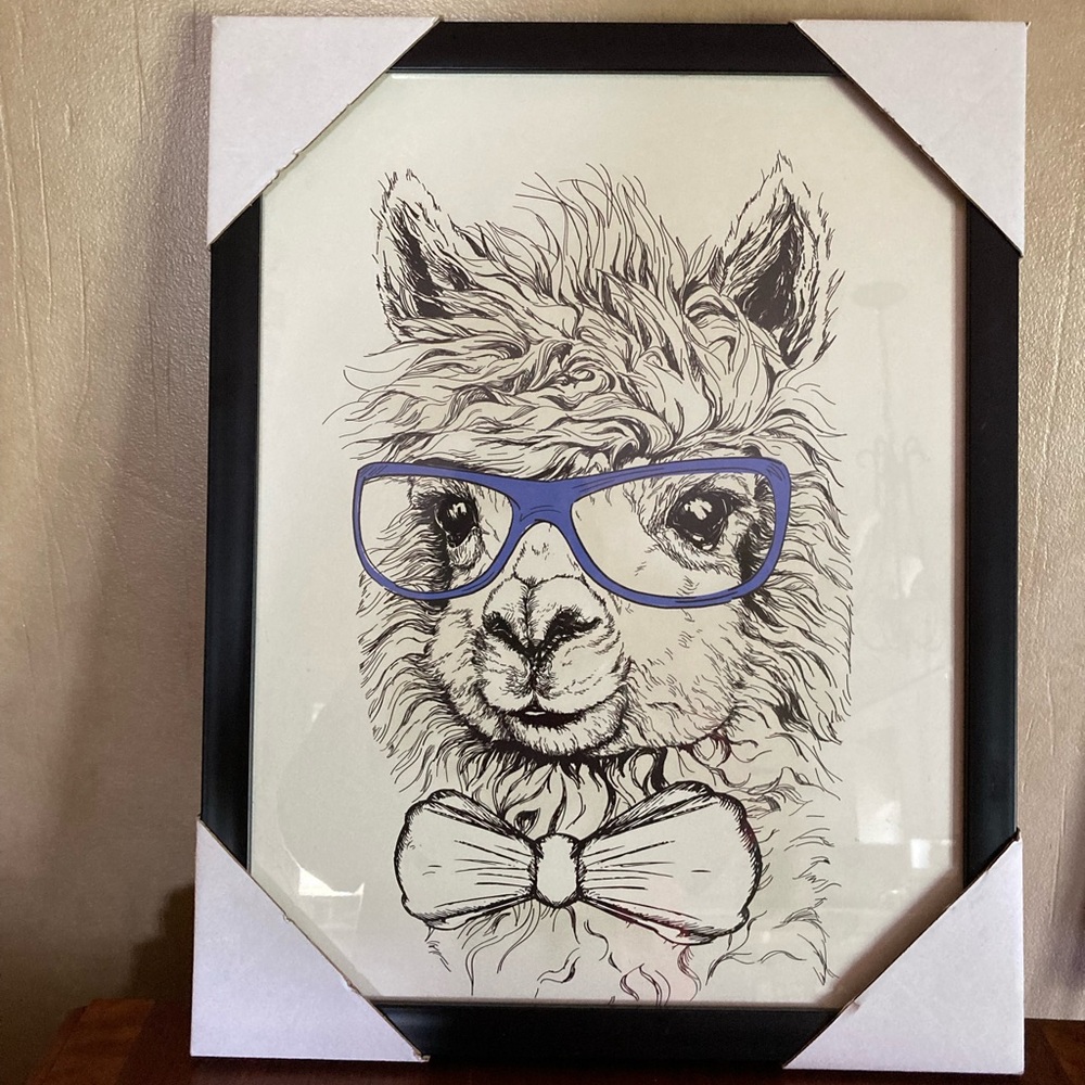 Llama with glasses picture with black frame 18.5 X 14.5